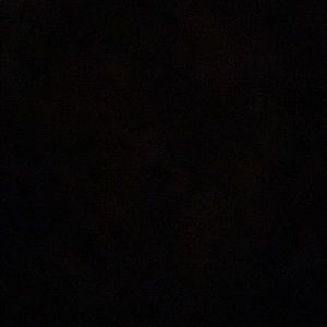 Meet your Posher, Ryann